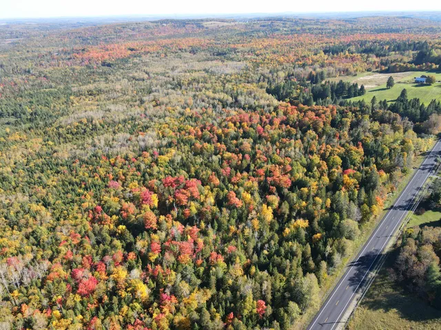 $220,000 | Lot 97 New Sweden Road, New Sweden, ME 04762