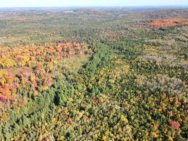 $199,900 | Lot 97 New Sweden Road, New Sweden, ME 04762