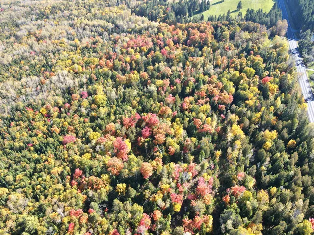 $220,000 | Lot 97 New Sweden Road, New Sweden, ME 04762