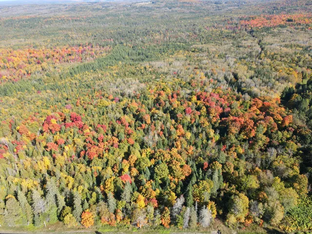 $220,000 | Lot 97 New Sweden Road, New Sweden, ME 04762