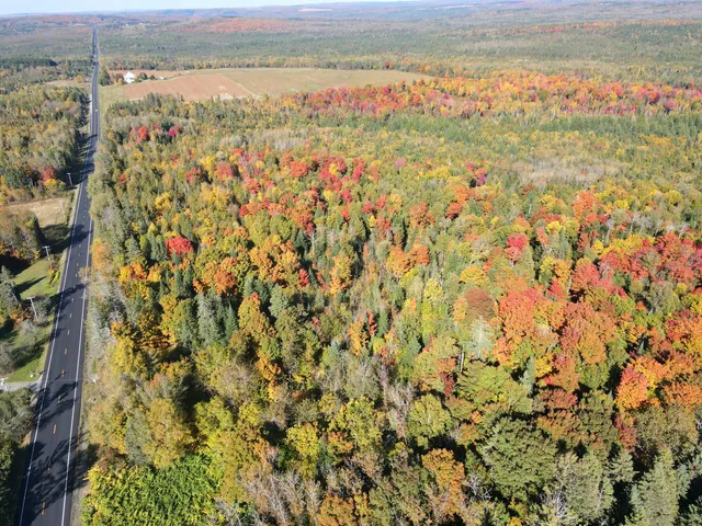 $220,000 | Lot 97 New Sweden Road, New Sweden, ME 04762