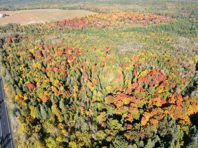 $220,000 | Lot 97 New Sweden Road, New Sweden, ME 04762