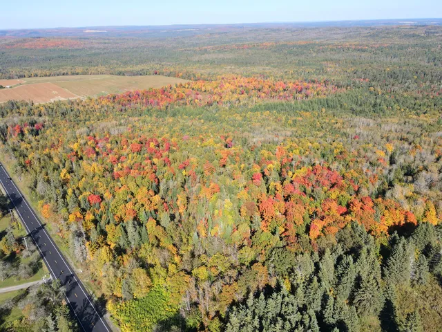 $220,000 | Lot 97 New Sweden Road, New Sweden, ME 04762