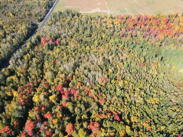 $220,000 | Lot 97 New Sweden Road, New Sweden, ME 04762