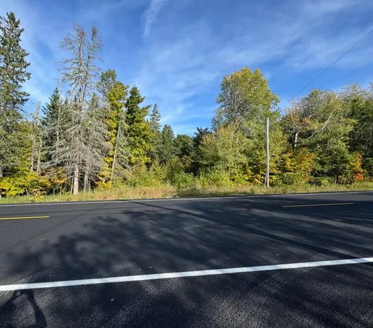 $220,000 | Lot 97 New Sweden Road, New Sweden, ME 04762