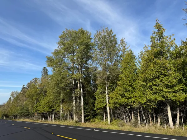 $199,900 | Lot 97 New Sweden Road, New Sweden, ME 04762