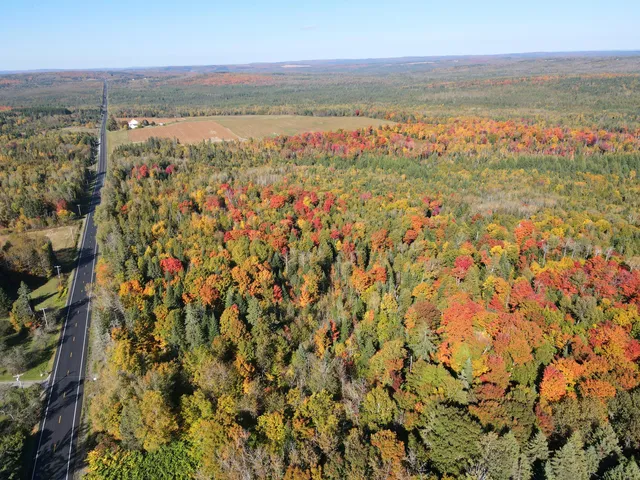 $220,000 | Lot 97 New Sweden Road, New Sweden, ME 04762