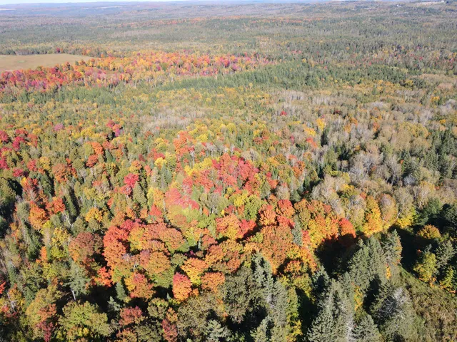 $220,000 | Lot 97 New Sweden Road, New Sweden, ME 04762