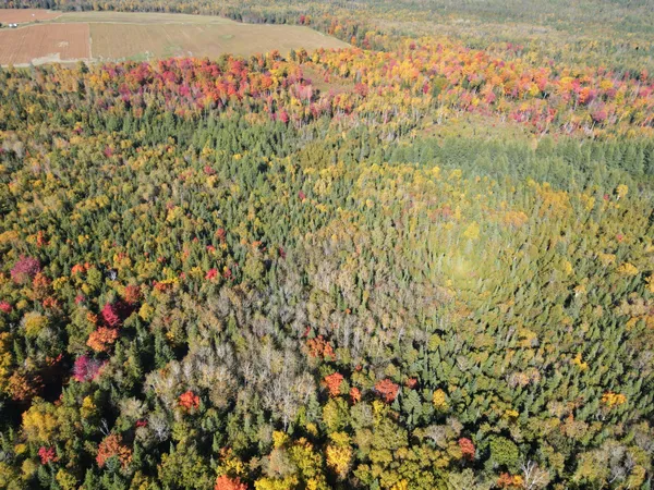 $199,900 | Lot 97 New Sweden Road, New Sweden, ME 04762