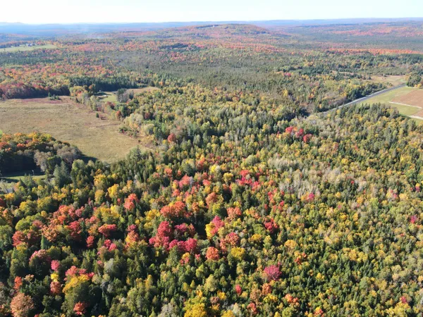 $199,900 | Lot 97 New Sweden Road, New Sweden, ME 04762