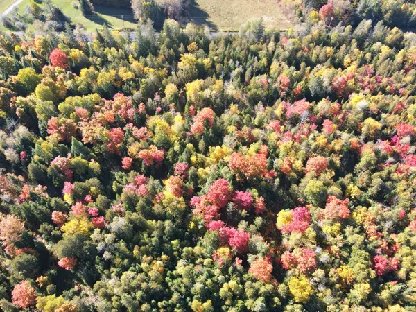 $199,900 | Lot 97 New Sweden Road, New Sweden, ME 04762