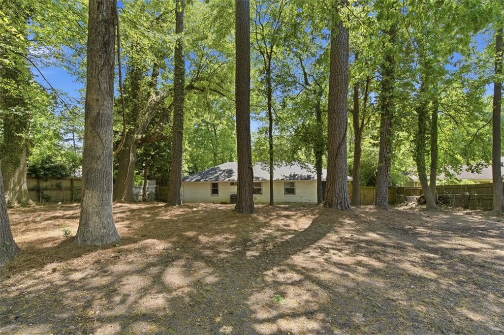 3180 Rehoboth Drive Decatur, GA 30033 - Photo 35 of 36 a view of a tree in the middle of a yard