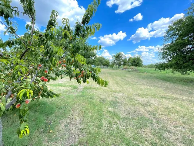 a view of yard with green space