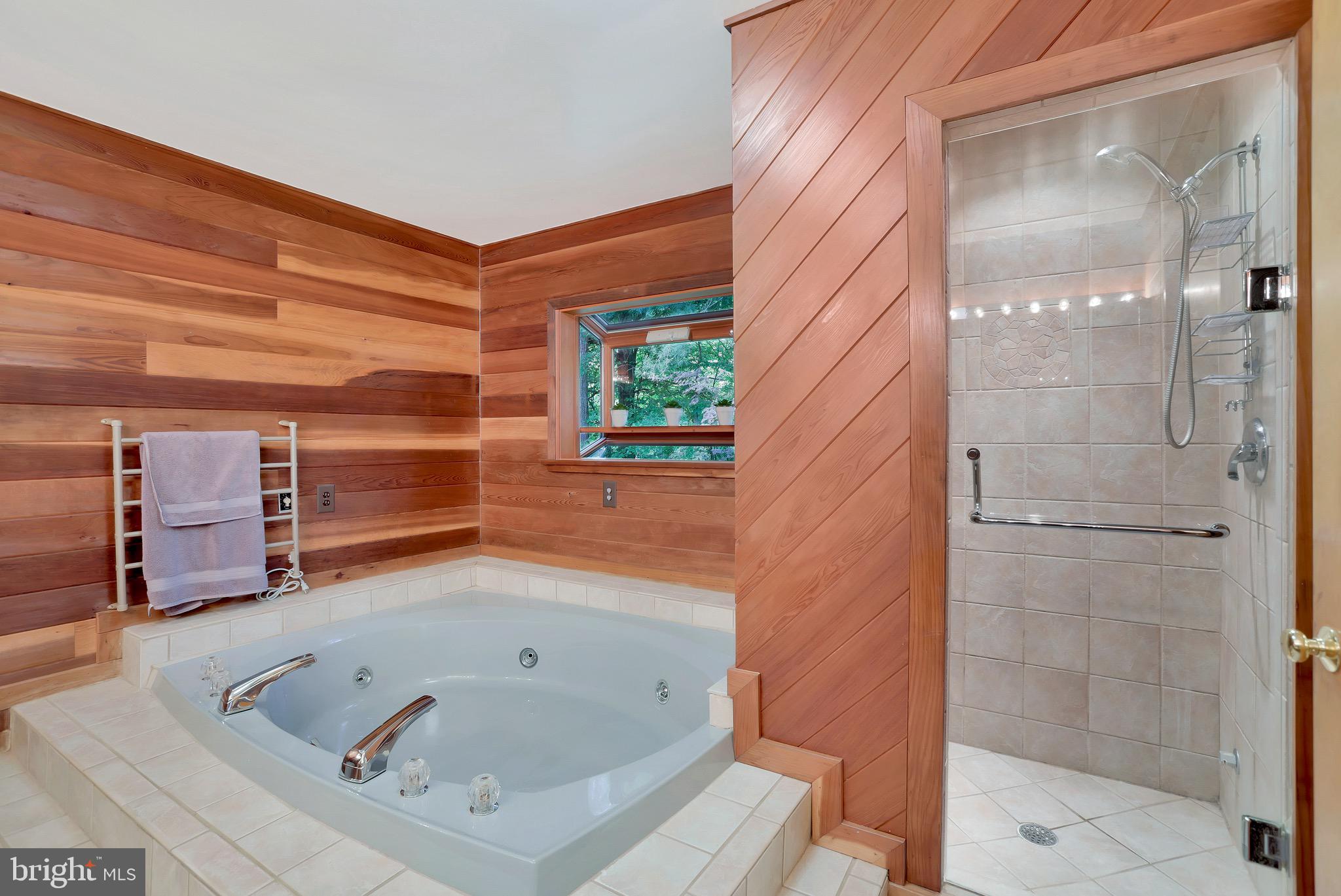 43351 Spinks Ferry Road Leesburg, VA 20176 - Photo 31 of 48 Huge jetted tub and stand alone shower.