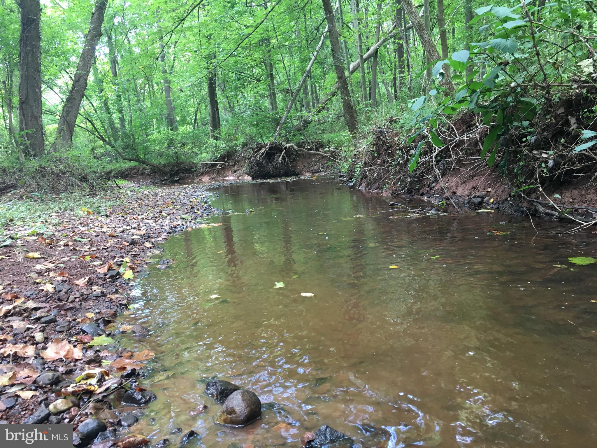 43351 Spinks Ferry Road Leesburg, VA 20176 - Photo 40 of 48 Creek on property
