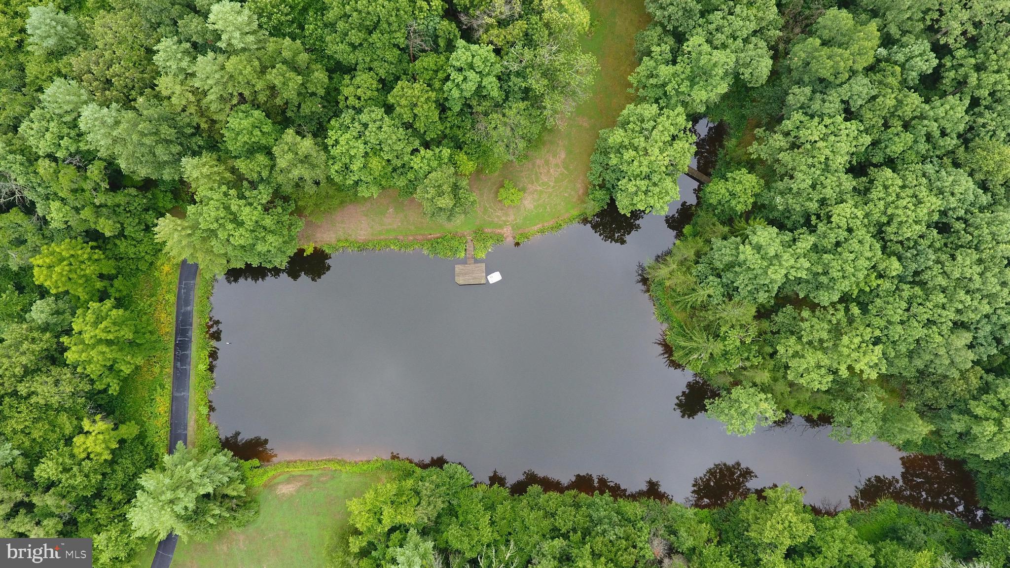 43351 Spinks Ferry Road Leesburg, VA 20176 - Photo 5 of 48 Large front pond