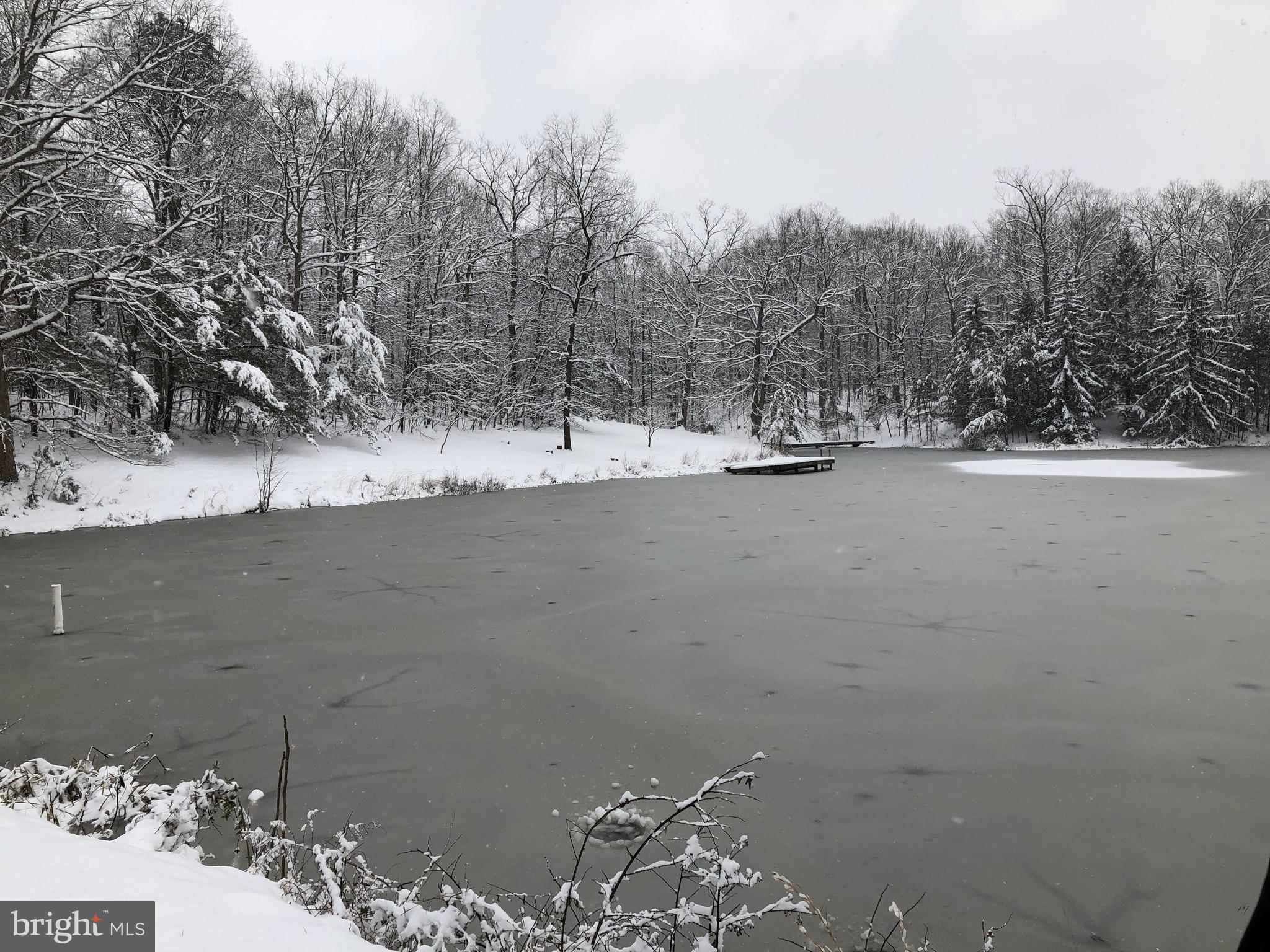 43351 Spinks Ferry Road Leesburg, VA 20176 - Photo 42 of 48 Picturesque in the winter