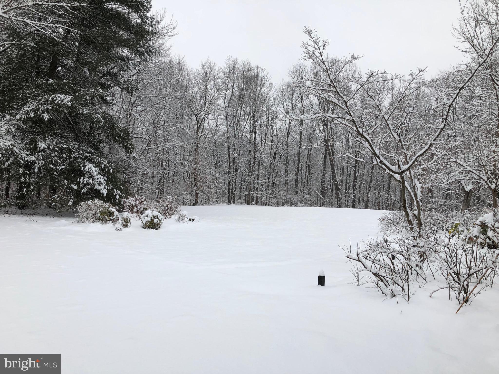 43351 Spinks Ferry Road Leesburg, VA 20176 - Photo 43 of 48 Even beautiful in the snow.