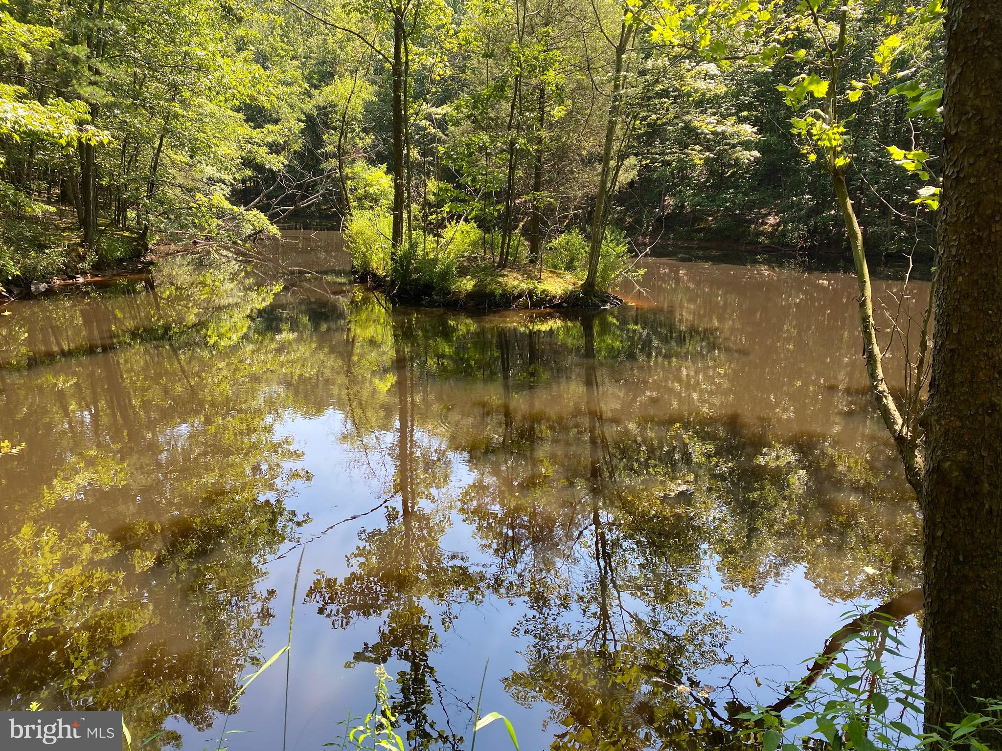 43351 Spinks Ferry Road Leesburg, VA 20176 - Photo 45 of 48 Rear pond with island in the middle.