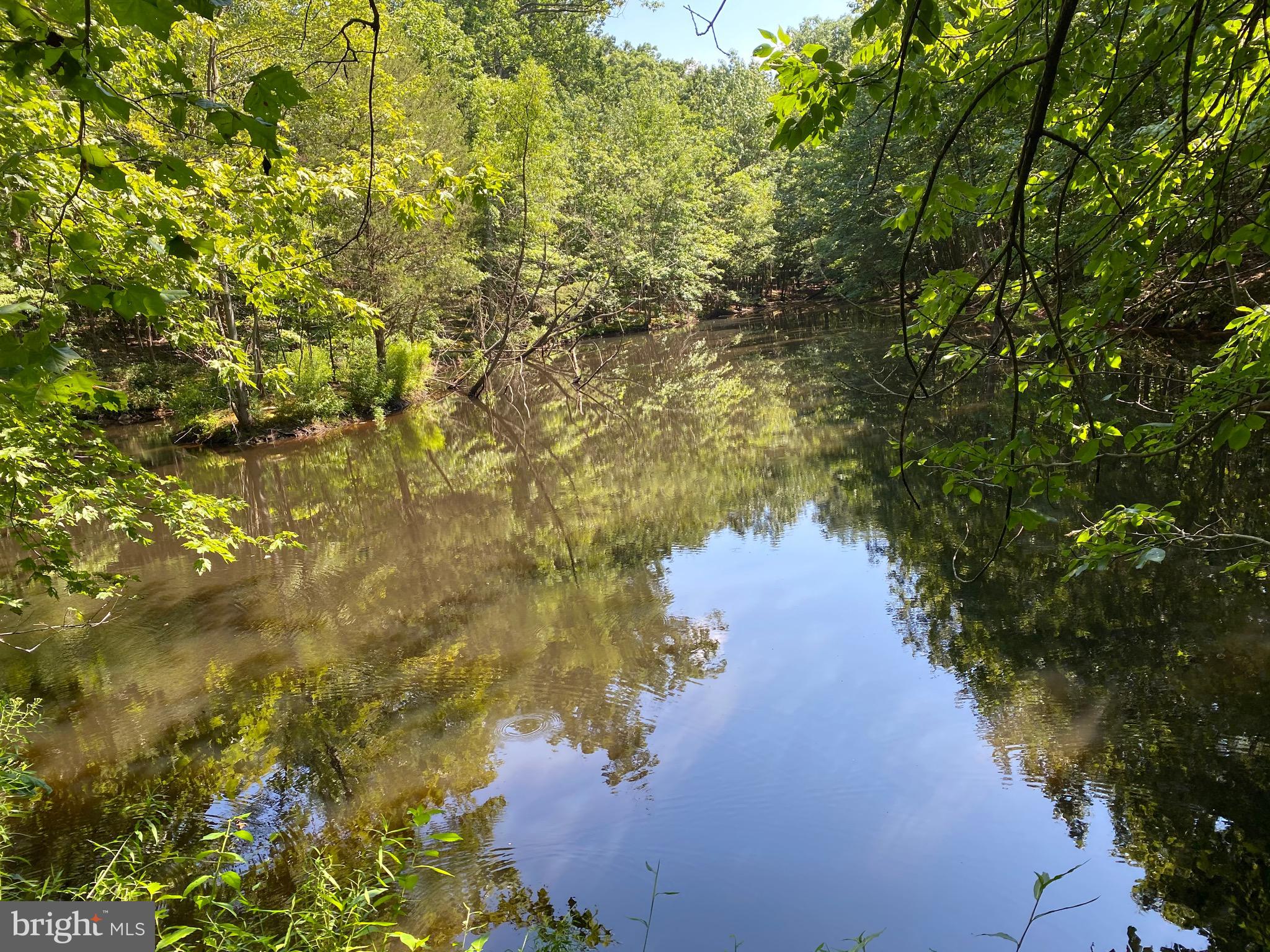 43351 Spinks Ferry Road Leesburg, VA 20176 - Photo 46 of 48 Smaller rear pond