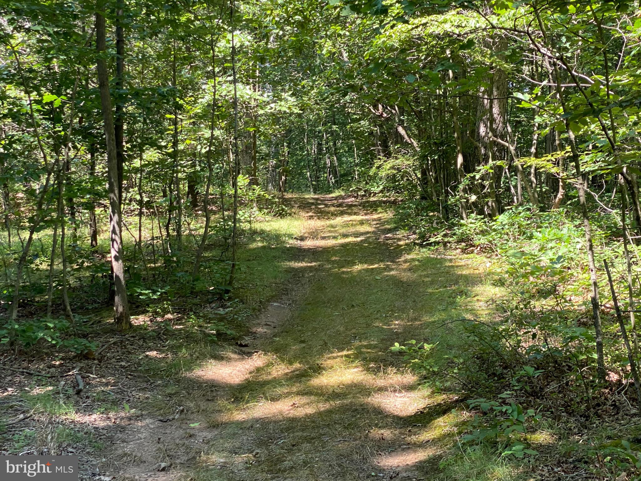 43351 Spinks Ferry Road Leesburg, VA 20176 - Photo 47 of 48 Wide walking trails