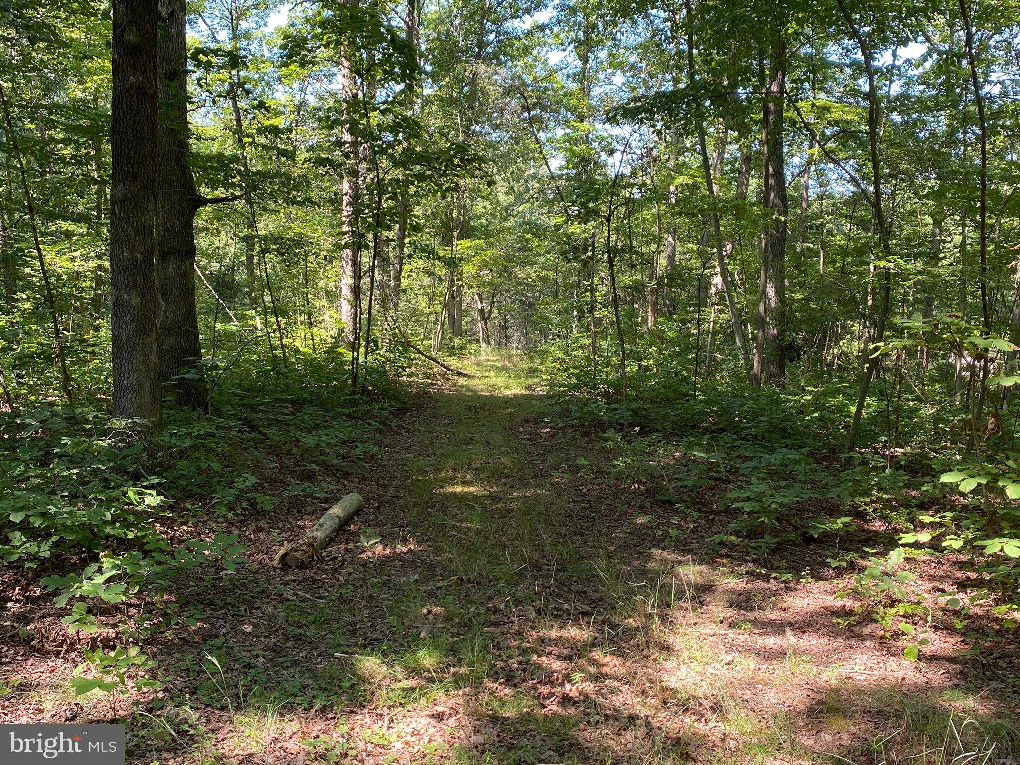 43351 Spinks Ferry Road Leesburg, VA 20176 - Photo 48 of 48 Trails wide enough for an all terrain vehicle