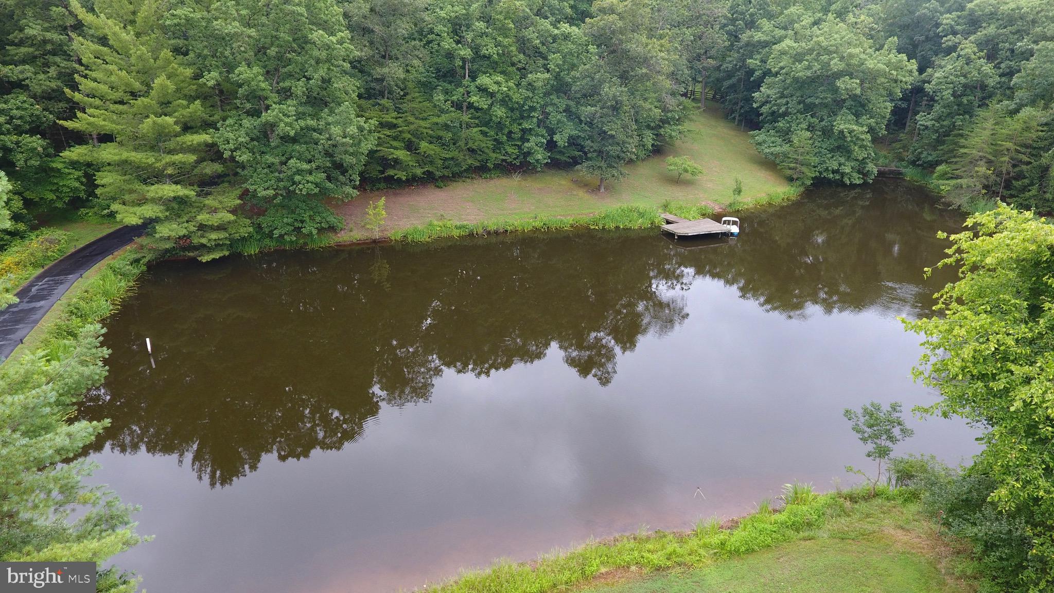 43351 Spinks Ferry Road Leesburg, VA 20176 - Photo 6 of 48 Pond is fully stocked for caught & release fishing
