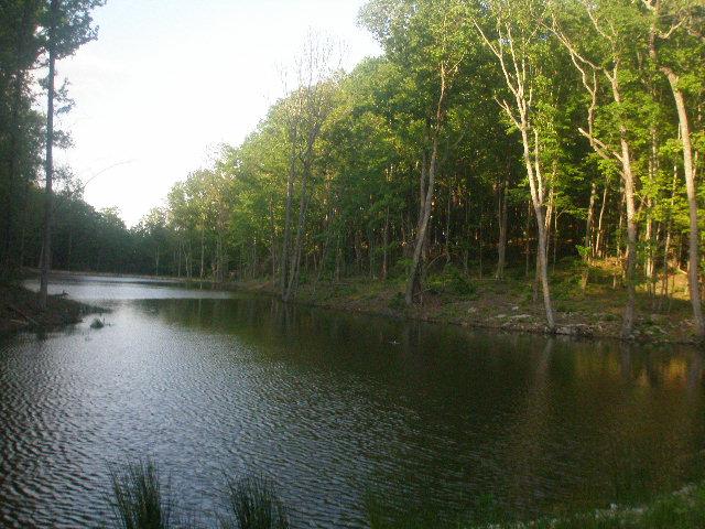 32 Eagle Rock Road Monteagle, TN 37356 - Photo 4 of 6 You are within walking distance of this common area lake.