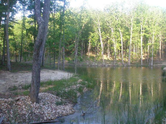 32 Eagle Rock Road Monteagle, TN 37356 - Photo 5 of 6 Common area lake shoreline....join flyover birds in fishing or wading around!