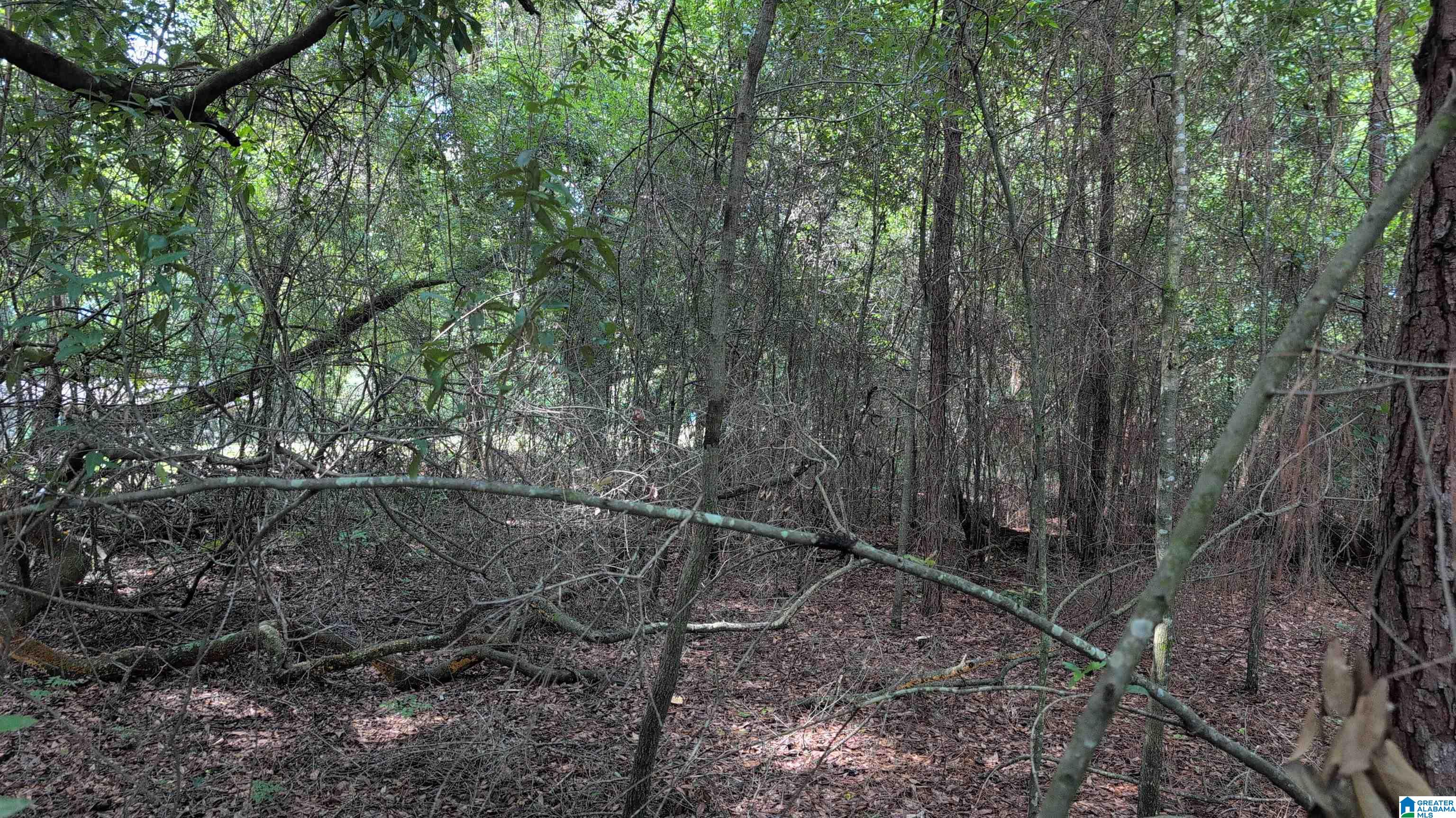 1 Ac /- Coosada Road, Unit 1 Millbrook, AL 36054 - Photo 10 of 11