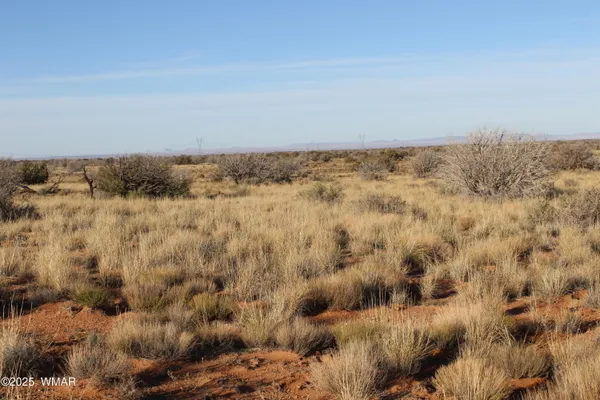 $32,900 | Lot 224 Ccr, Unit 2, Heber, AZ 85928