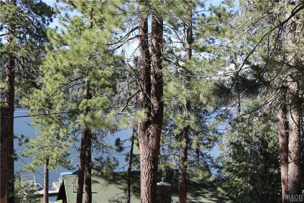 46 Spring Road Big Bear Lake, CA 92315 - Photo 25 of 43 a view of a tree in a forest