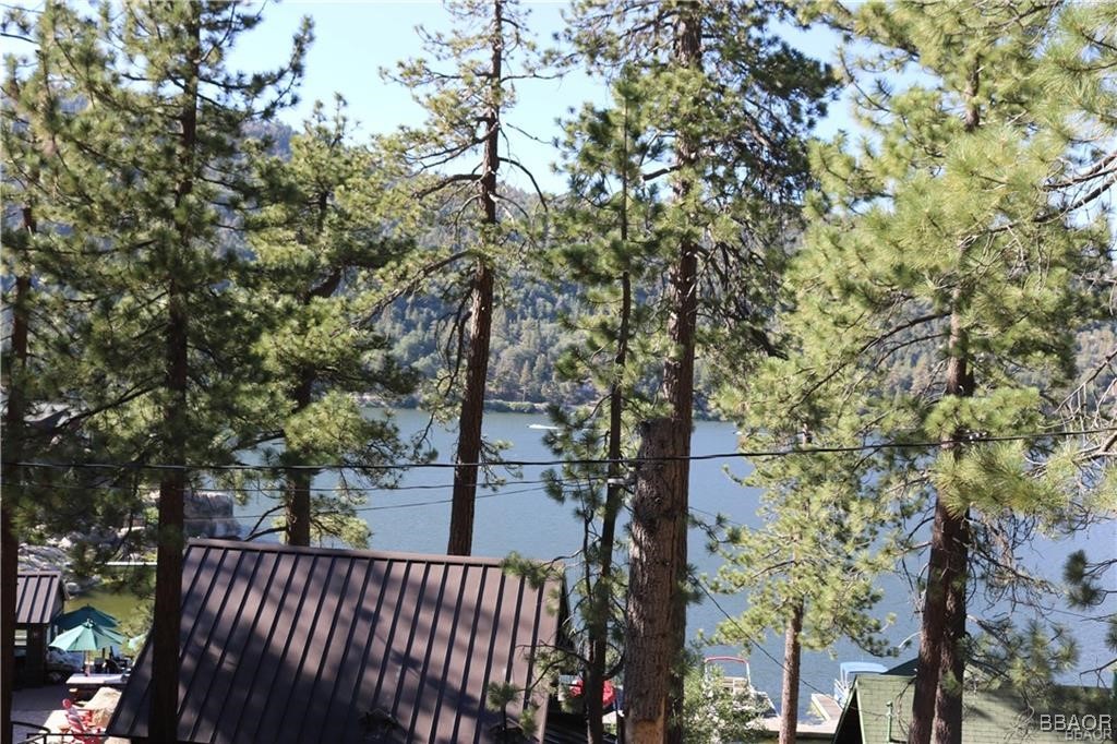 46 Spring Road Big Bear Lake, CA 92315 - Photo 26 of 43 a view of a house with a tree