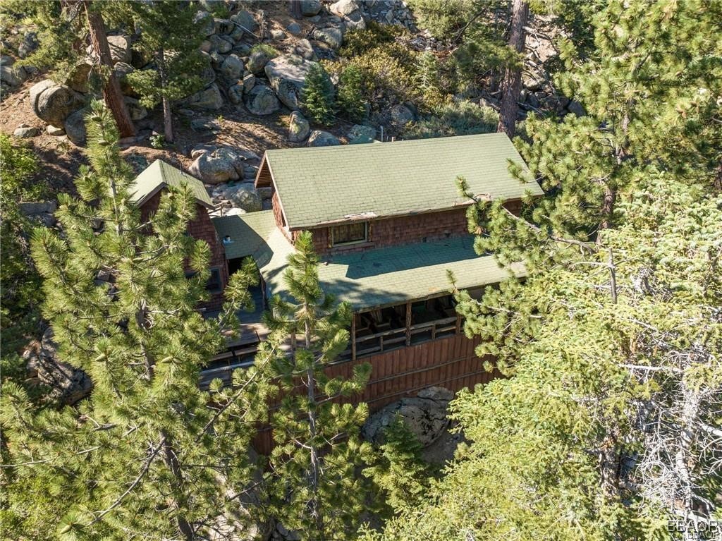 46 Spring Road Big Bear Lake, CA 92315 - Photo 28 of 43 view of outdoor space and yard