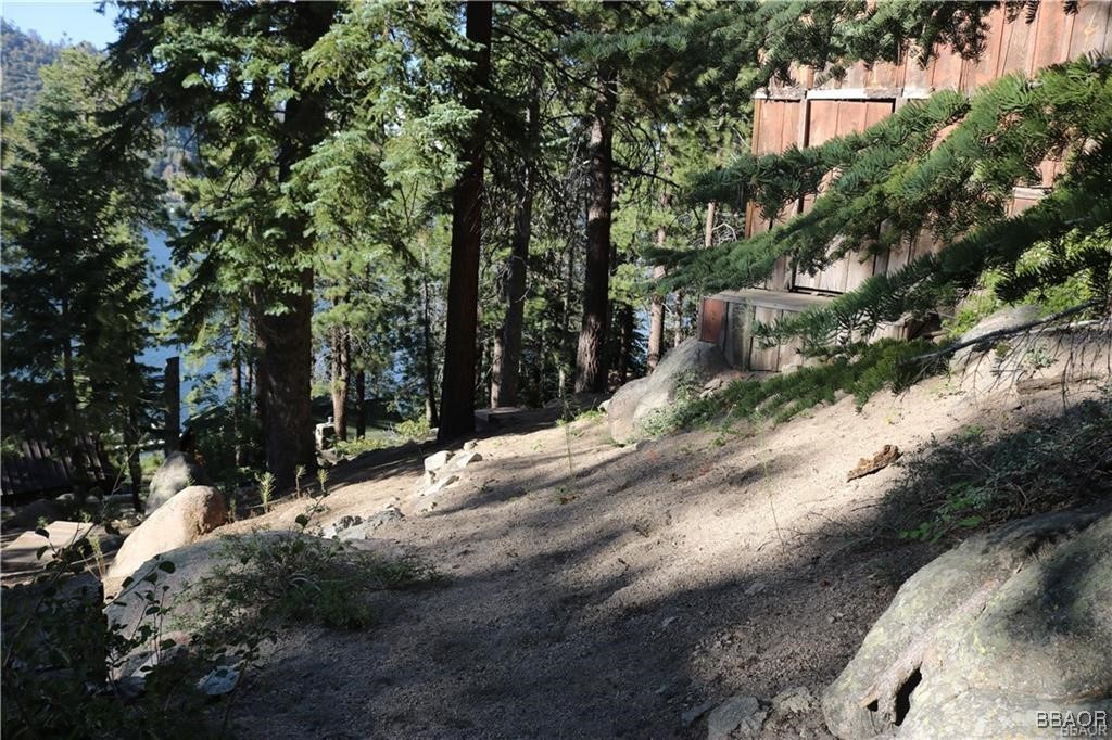 46 Spring Road Big Bear Lake, CA 92315 - Photo 37 of 43 a view of road and trees