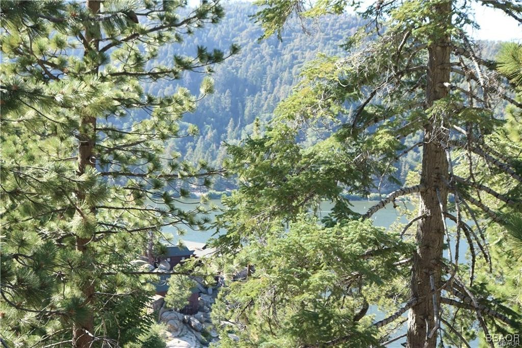 46 Spring Road Big Bear Lake, CA 92315 - Photo 38 of 43 a backyard of a house with a tree