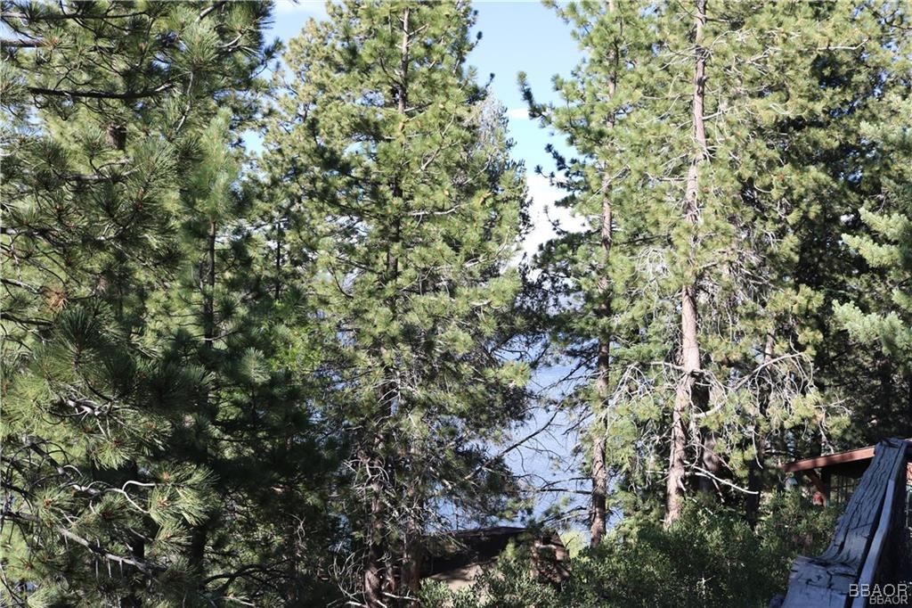 46 Spring Road Big Bear Lake, CA 92315 - Photo 39 of 43 a view of a tree