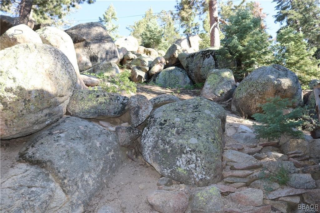 46 Spring Road Big Bear Lake, CA 92315 - Photo 41 of 43 a view of a yard with plants and trees