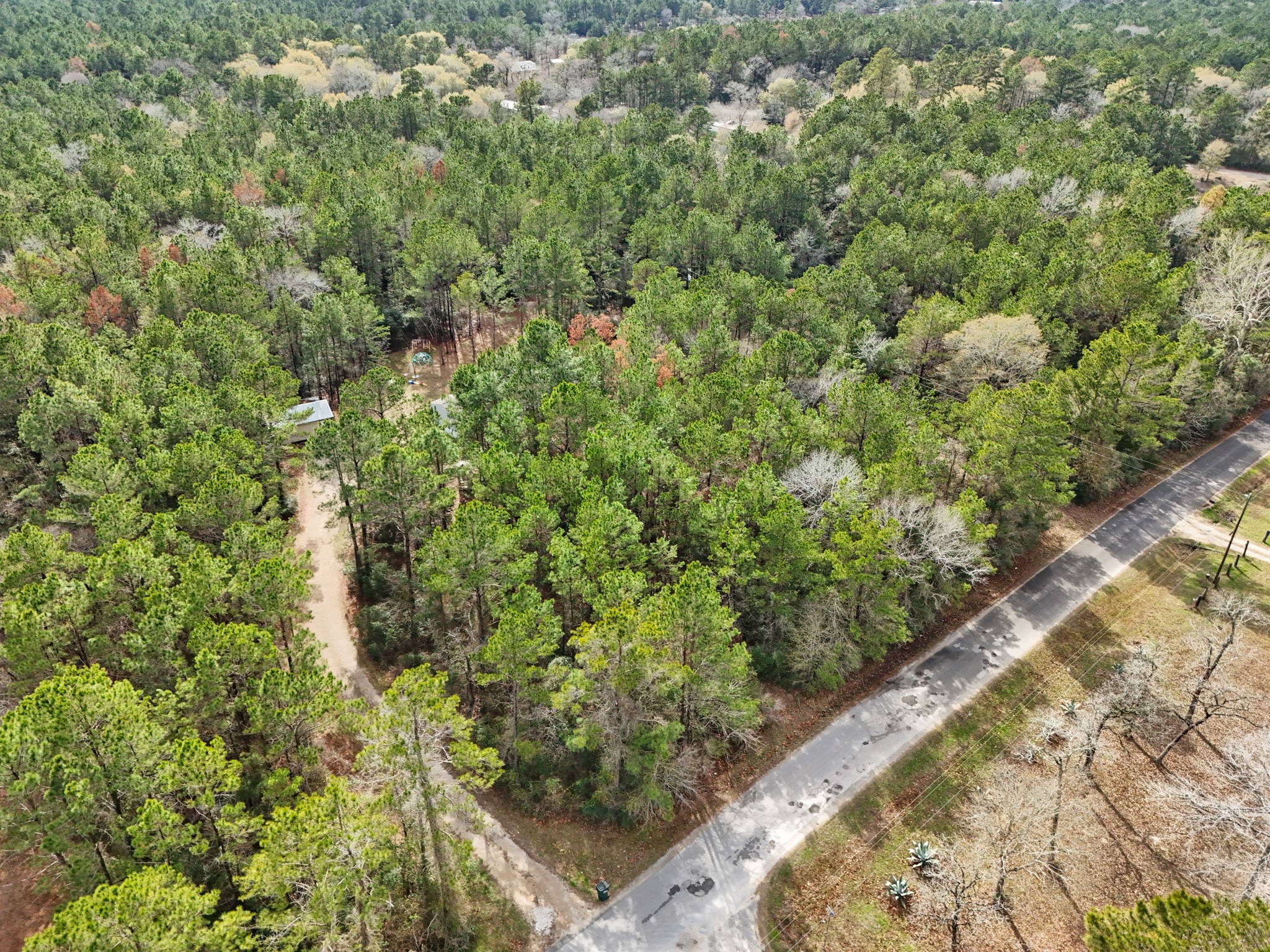 a view of a yard with plants