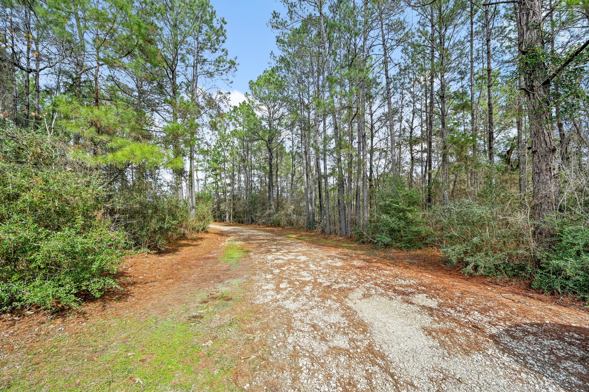 6026 Carter Road Waller, TX 77484 - Photo 2 of 34 a view of a yard with trees in the background
