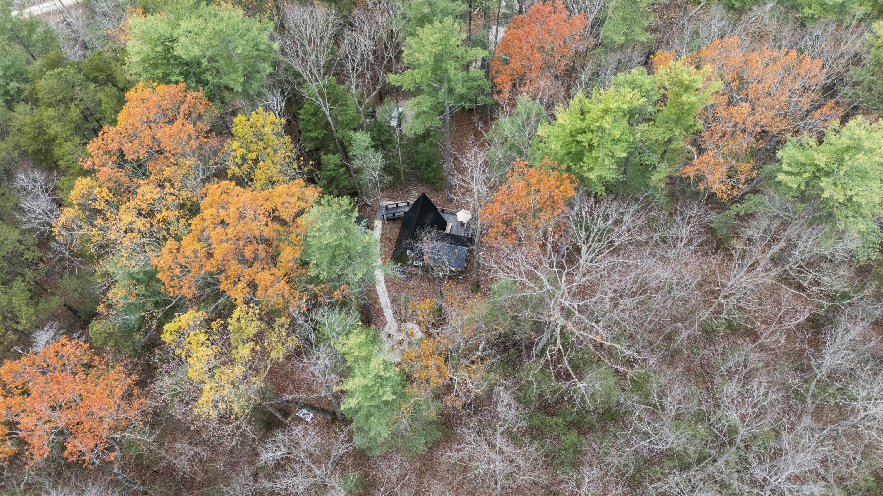 345 Wolfe Lk Road Campton, KY 41301 - Photo 31 of 36 tempImageDihtKP