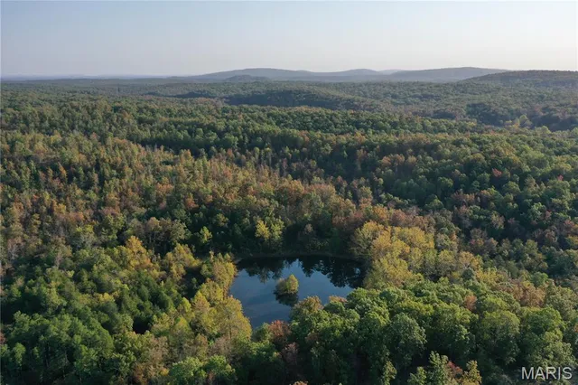 $1,075,000 | 0 County Road 349, Piedmont, MO 63957