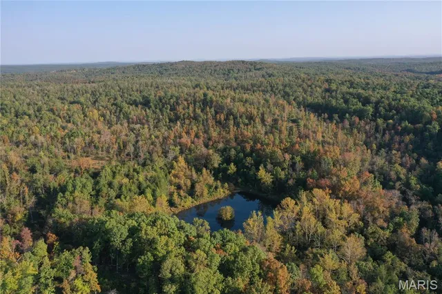 $1,075,000 | 0 County Road 349, Piedmont, MO 63957