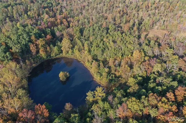 $1,075,000 | 0 County Road 349, Piedmont, MO 63957