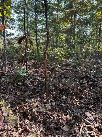 $1,075,000 | 0 County Road 349, Piedmont, MO 63957