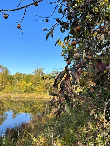 $1,075,000 | 0 County Road 349, Piedmont, MO 63957