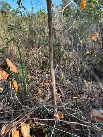 $1,075,000 | 0 County Road 349, Piedmont, MO 63957