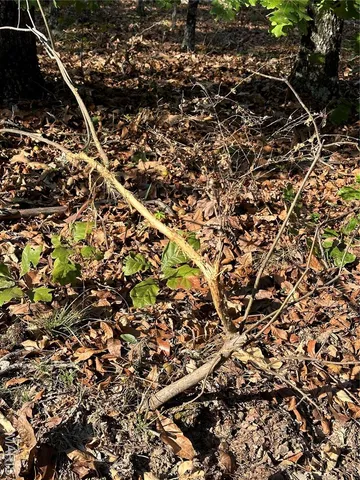 $1,075,000 | 0 County Road 349, Piedmont, MO 63957