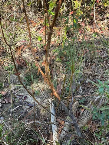 $1,075,000 | 0 County Road 349, Piedmont, MO 63957