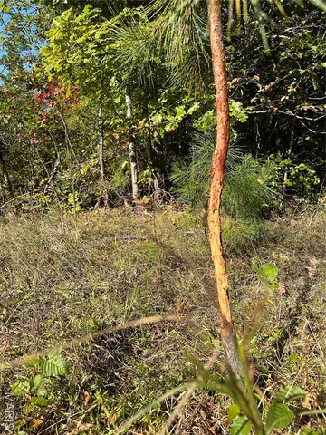 $1,075,000 | 0 County Road 349, Piedmont, MO 63957